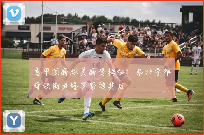 意甲顶薪球员薪资揭秘：弗拉霍维奇领衔劳塔罗紧随其后
